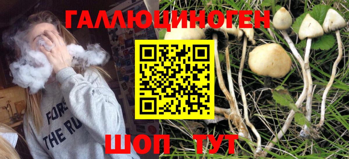 Галлюциногенные грибы мицелий  Галлюциногенные грибы мицелий  Вход с VPN  Иваново 