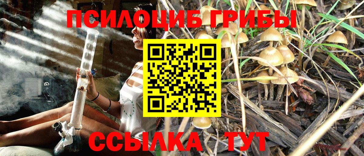Галлюциногенные грибы Cubensis Иваново